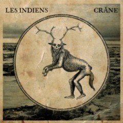 Crâne